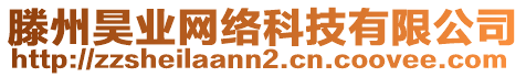 滕州昊業網絡科技有限公司