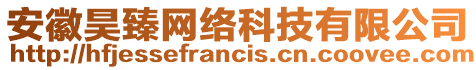 安徽昊臻網絡科技有限公司
