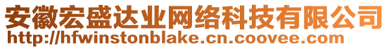安徽宏盛達(dá)業(yè)網(wǎng)絡(luò)科技有限公司