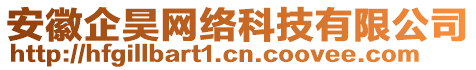 安徽企昊網絡科技有限公司