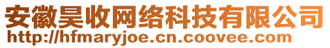 安徽昊收網絡科技有限公司