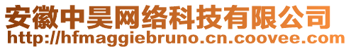 安徽中昊網絡科技有限公司
