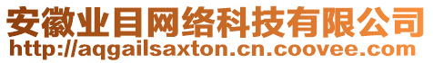 安徽業目網絡科技有限公司