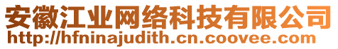 安徽江業(yè)網(wǎng)絡(luò)科技有限公司