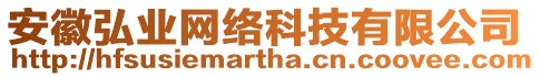 安徽弘業網絡科技有限公司