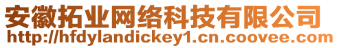 安徽拓業網絡科技有限公司