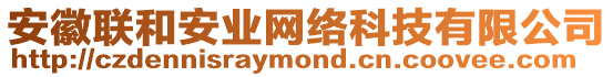安徽聯和安業網絡科技有限公司