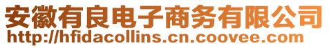 安徽有良電子商務(wù)有限公司