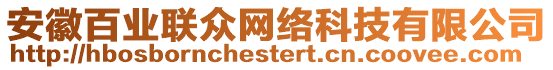 安徽百業(yè)聯(lián)眾網(wǎng)絡(luò)科技有限公司