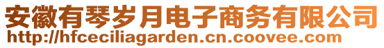 安徽有琴歲月電子商務(wù)有限公司