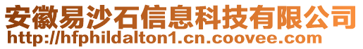 安徽易沙石信息科技有限公司