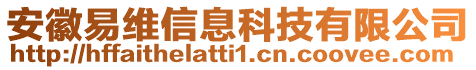 安徽易維信息科技有限公司