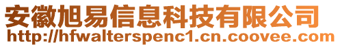 安徽旭易信息科技有限公司