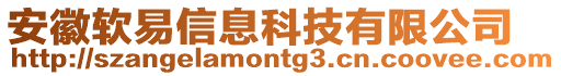 安徽軟易信息科技有限公司