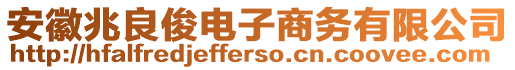 安徽兆良俊電子商務(wù)有限公司