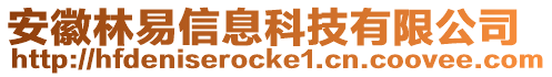 安徽林易信息科技有限公司
