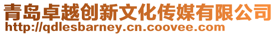 青島卓越創(chuàng)新文化傳媒有限公司