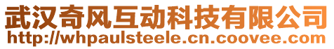 武漢奇風(fēng)互動(dòng)科技有限公司