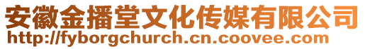 安徽金播堂文化傳媒有限公司