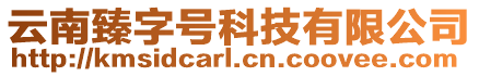 云南臻字號科技有限公司