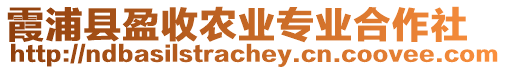 霞浦縣盈收農業(yè)專業(yè)合作社