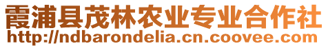 霞浦縣茂林農(nóng)業(yè)專業(yè)合作社