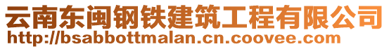 云南東閩鋼鐵建筑工程有限公司