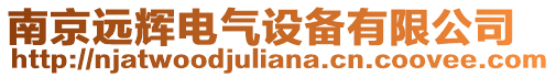 南京遠輝電氣設備有限公司