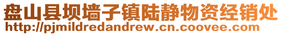 盤山縣壩墻子鎮(zhèn)陸靜物資經(jīng)銷處