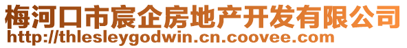 梅河口市宸企房地產(chǎn)開發(fā)有限公司