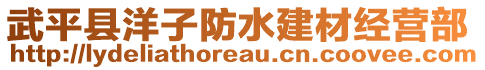 武平縣洋子防水建材經(jīng)營(yíng)部