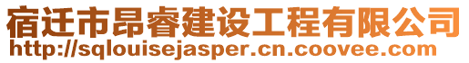 宿遷市昂睿建設工程有限公司
