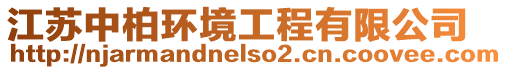 江蘇中柏環(huán)境工程有限公司