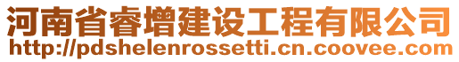 河南省睿增建設工程有限公司