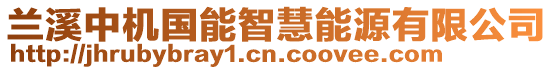蘭溪中機國能智慧能源有限公司