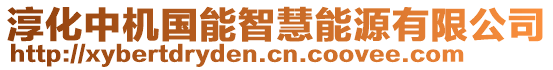 淳化中機國能智慧能源有限公司