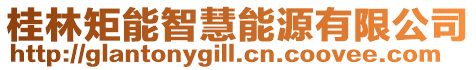桂林矩能智慧能源有限公司