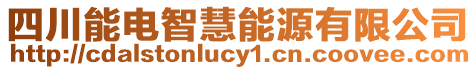 四川能電智慧能源有限公司