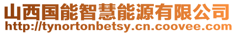山西國能智慧能源有限公司