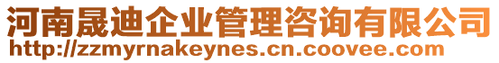 河南晟迪企業(yè)管理咨詢有限公司