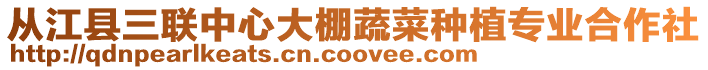 從江縣三聯中心大棚蔬菜種植專業合作社