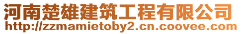 河南楚雄建筑工程有限公司