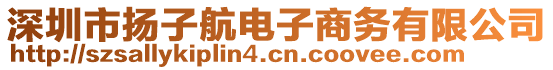 深圳市揚(yáng)子航電子商務(wù)有限公司