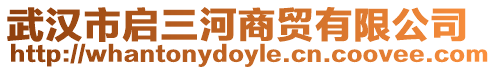 武漢市啟三河商貿有限公司