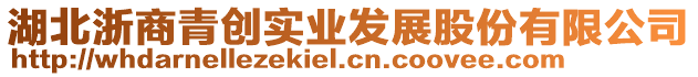 湖北浙商青創(chuàng)實(shí)業(yè)發(fā)展股份有限公司