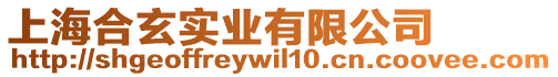 上海合玄實業有限公司