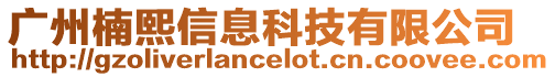廣州楠熙信息科技有限公司