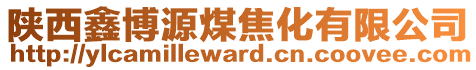 陕西鑫博源煤焦化有限公司