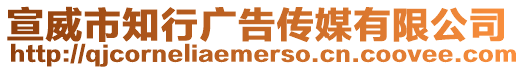 宣威市知行廣告?zhèn)髅接邢薰? style=