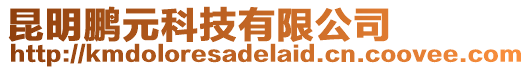 昆明鵬元科技有限公司
